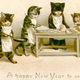 Illustration for article titled Happy New Year From These Chef Cats